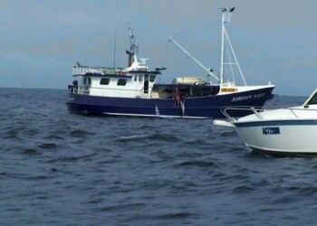 Longliners slaughter marlin